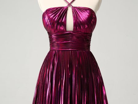 Purple A Line Halter Pleated Short Homecoming Dress With Hollow Out For Discount