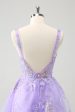 Lilac A-Line Corset Embroidered Homecoming Dress with Sequins Online