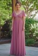 Sparkly Dusty Rose A-Line V Neck Sequined Chiffon Pleats Long Mother of the Bride Dress Online