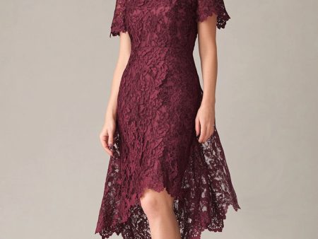 Burgundy Sheath Lace Short Sleeves Hi-Low Mother of the Bride Dress Fashion