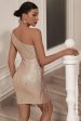 Sparkly Champagne One Shoulder Tight Short Party Dress with Tassels Online now